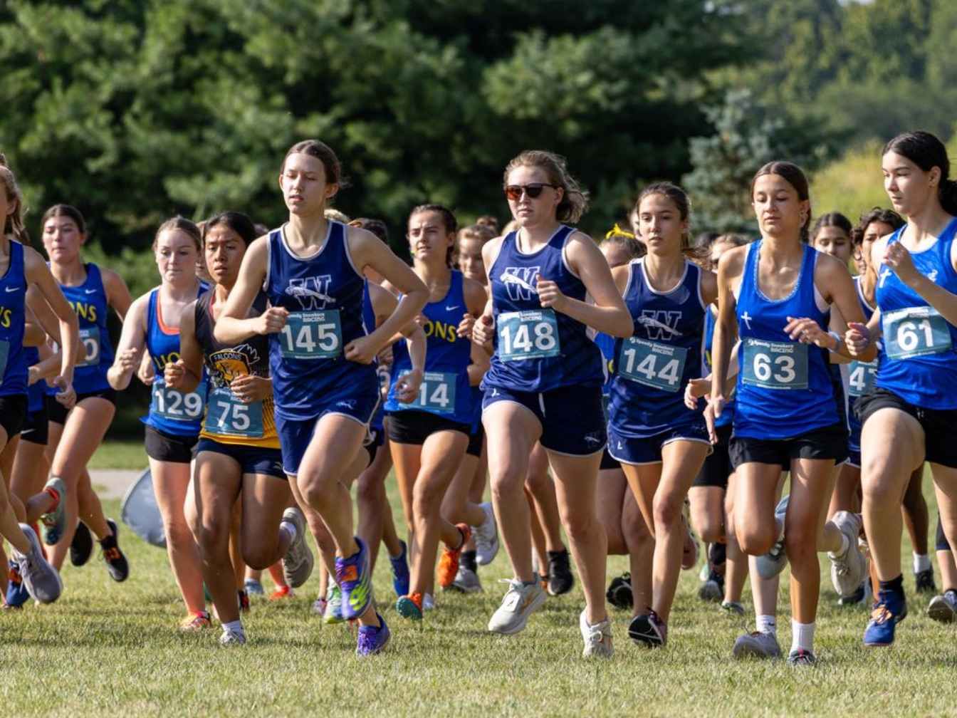 A large group o high school girls run as they begin a cross country race