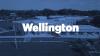 We are Wellington Thumbnail